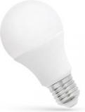 LED žárovka E27 4W studená bílá 13803